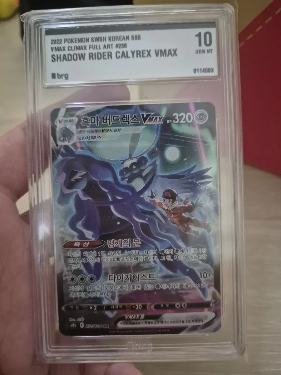 Pokémon Card BRG10 CSR Black Horse Birdrex