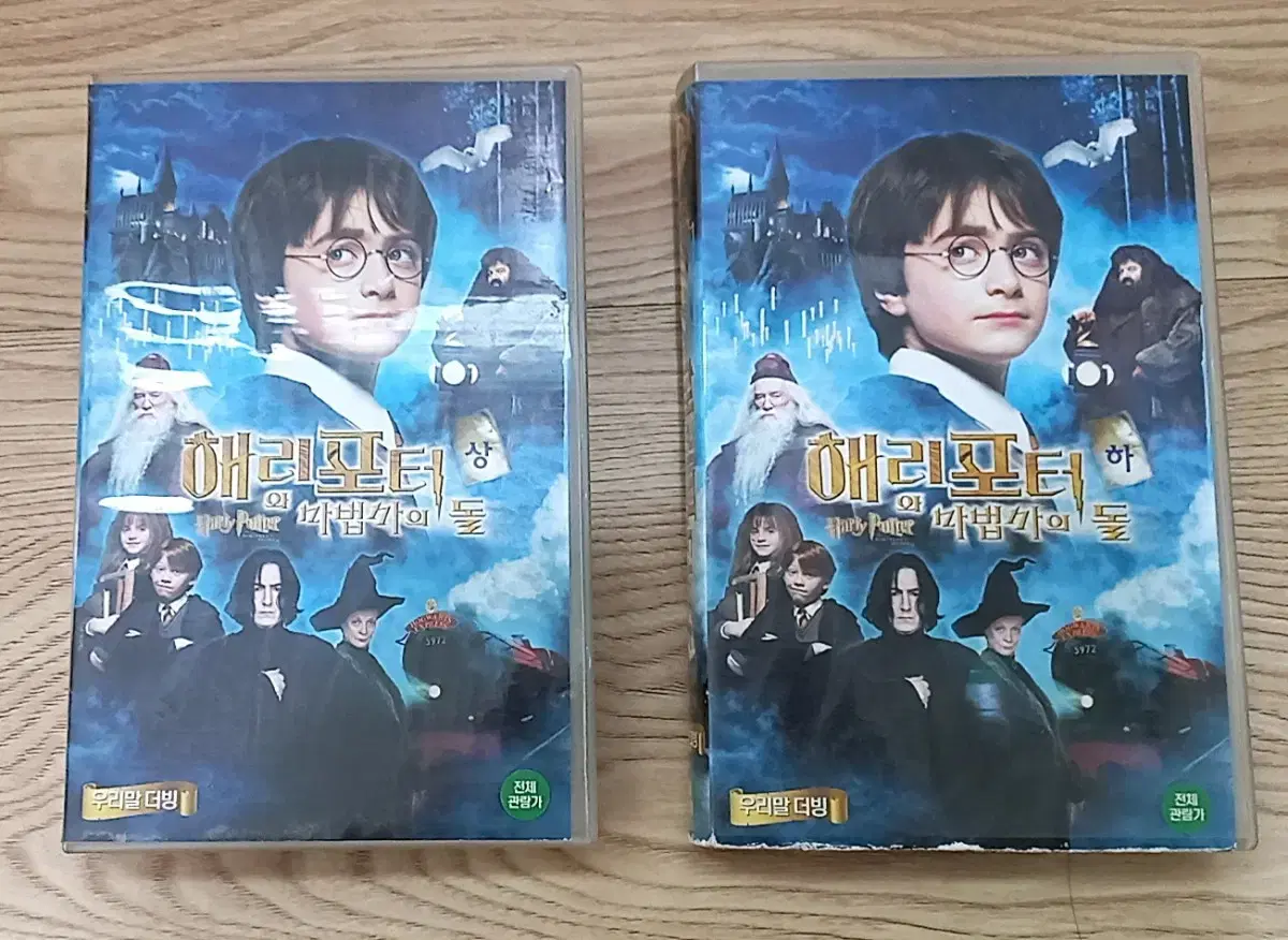 Harry Potter and the Sorcerer's Stone top and bottom videotape (poor quality)