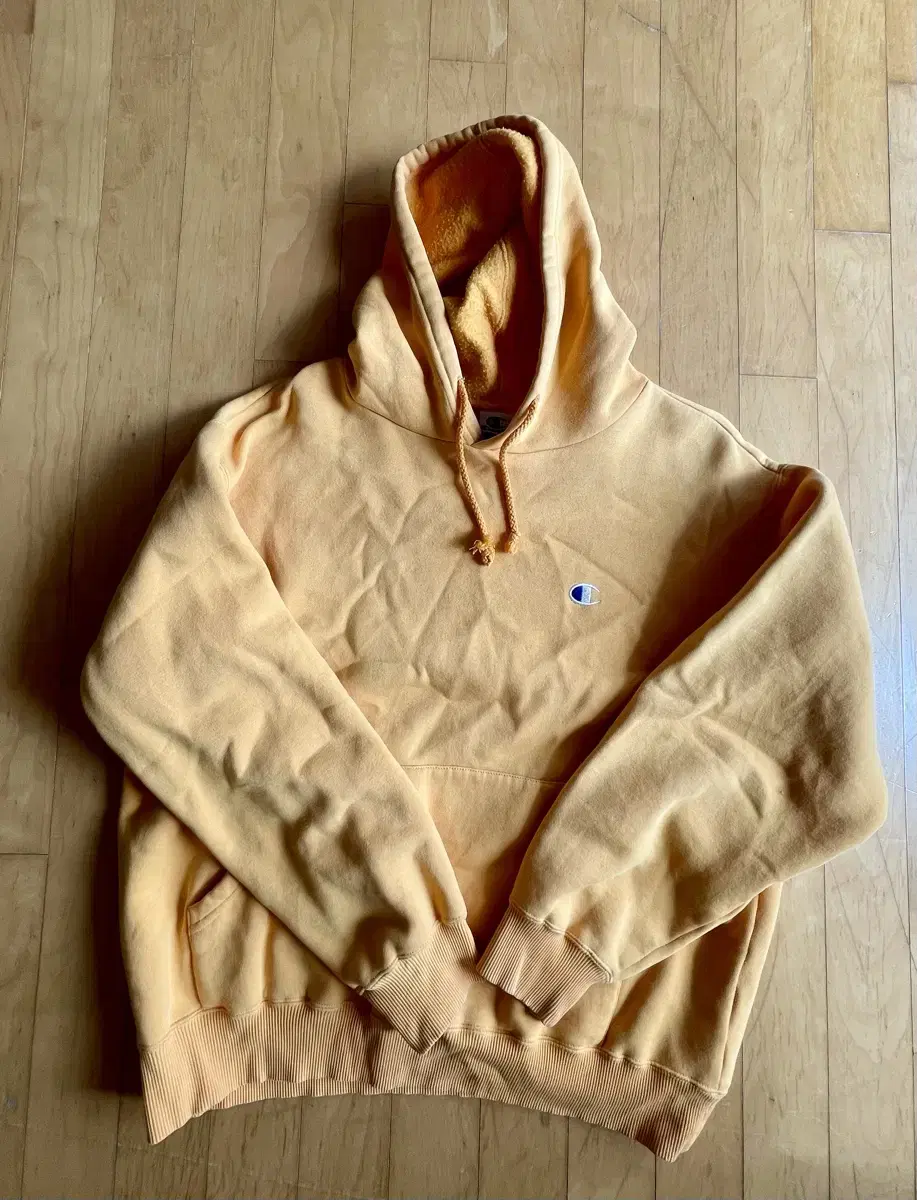 Champion Vintage Hoodie (L)