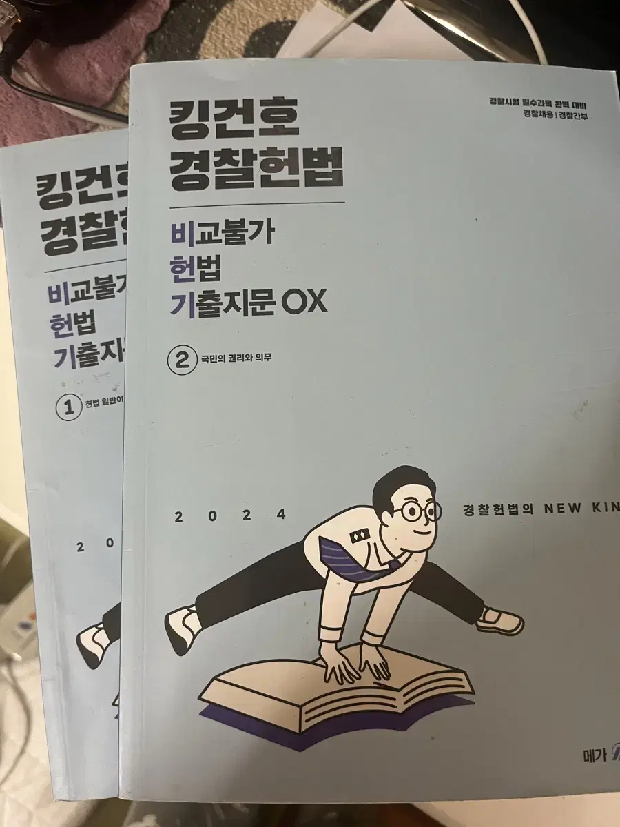 비헌기 경찰헌법