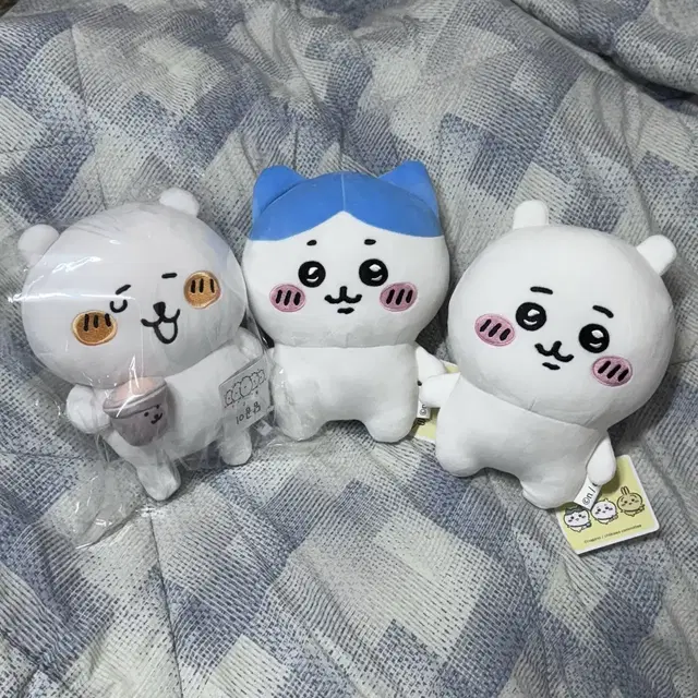 [새상품] 먼작귀 치이카와 하치와레 농담곰 중형인형