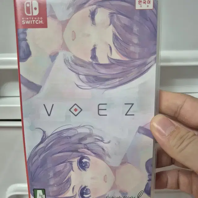 한국정밧 닌텐도 스위치 보이즈 voez