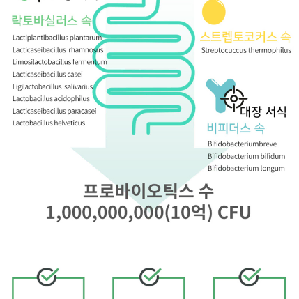 보령 인지력케어 PS유산균 2g x 30포