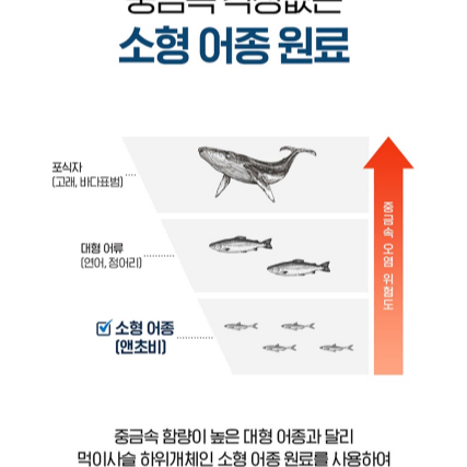 닥터브라이언 알티지 오메가3 1400 프리미엄 (180캡슐)x2BOX