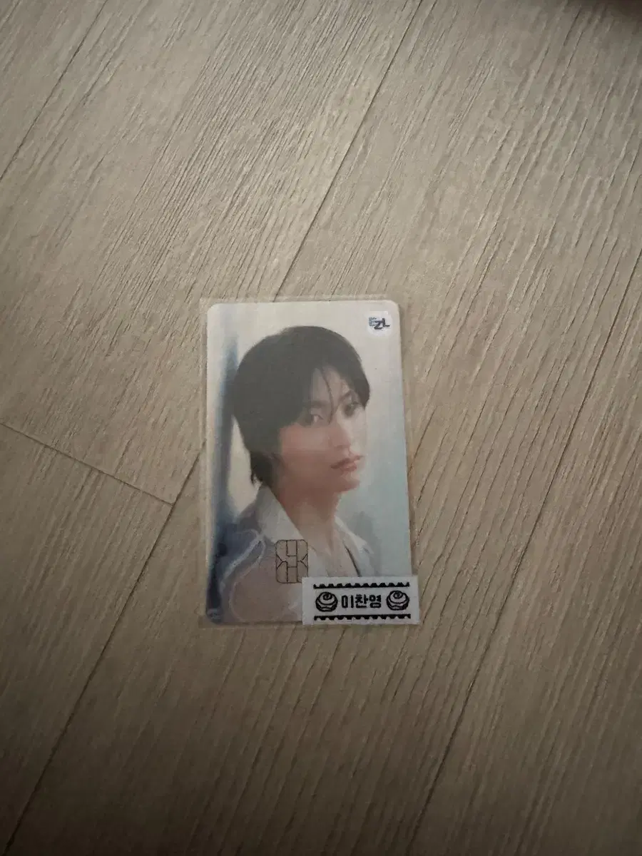 Chanyoung EZL Transportation Card