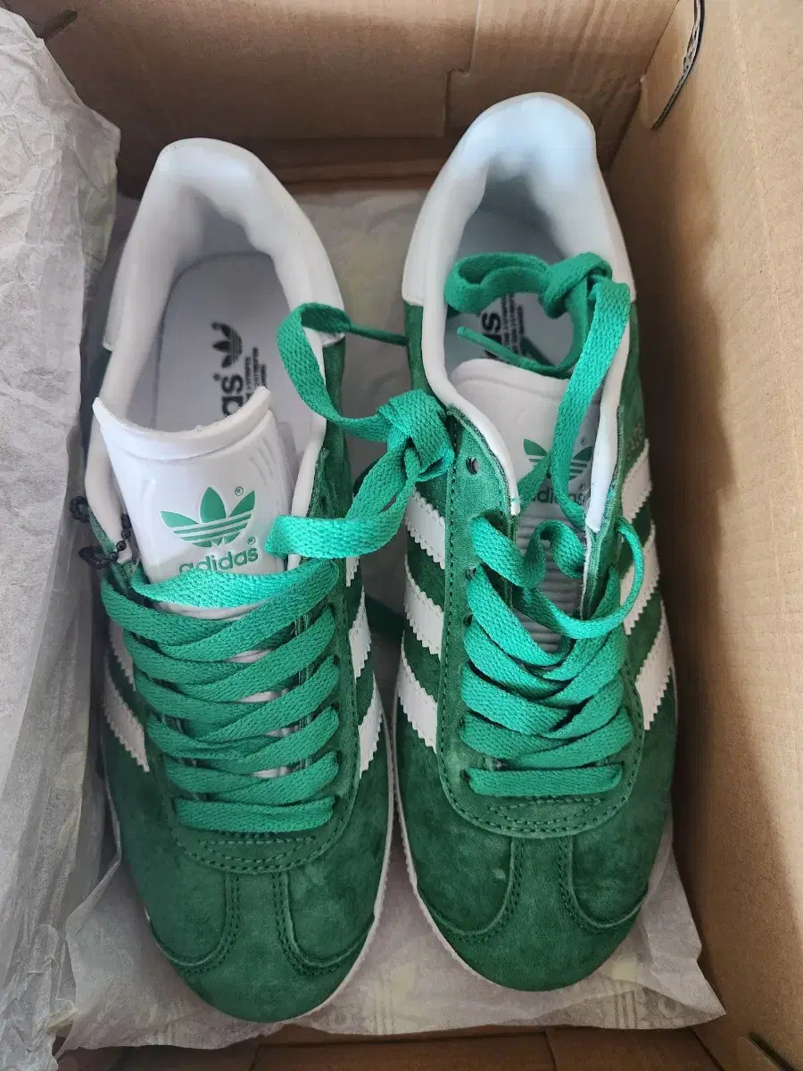 Adidas Gazelle 230