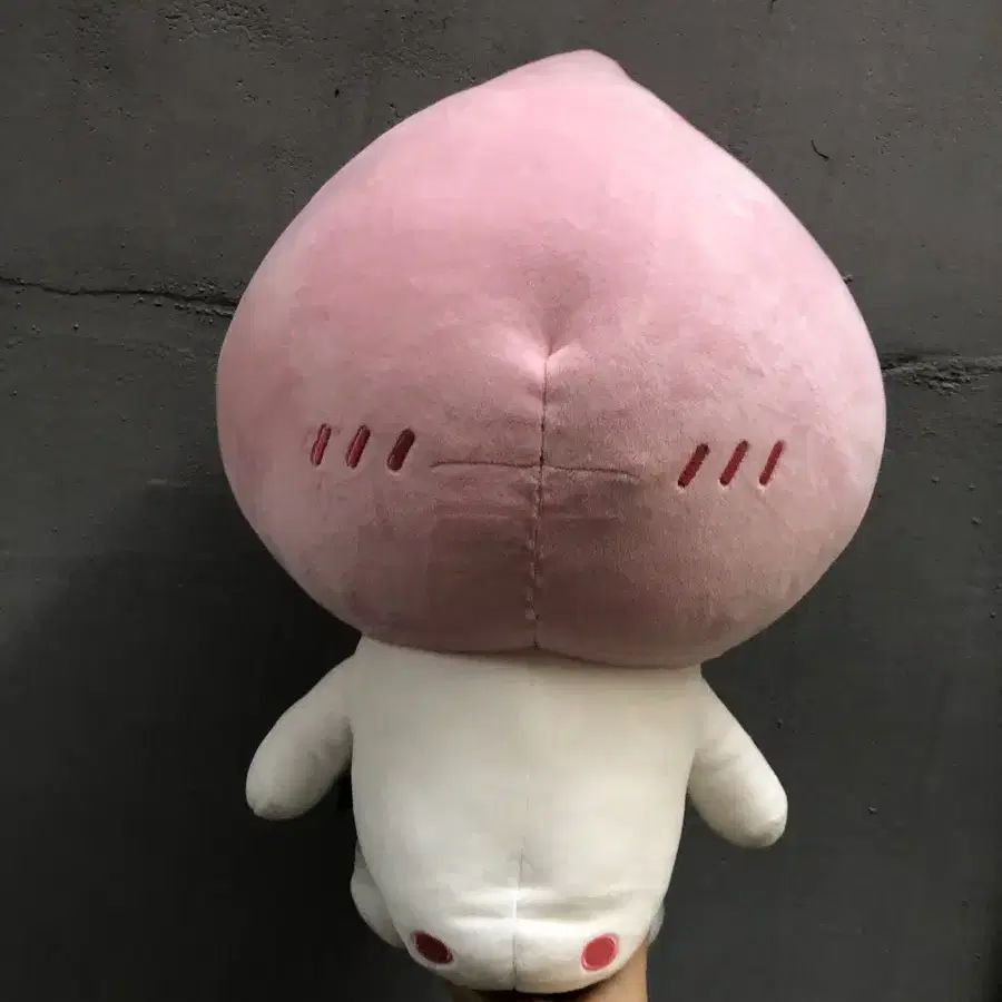 대형 카카오 프랜즈 피치파이브 인형 45cm