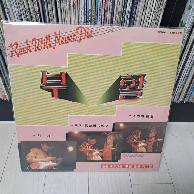 LP..부활1집(1988년)희야