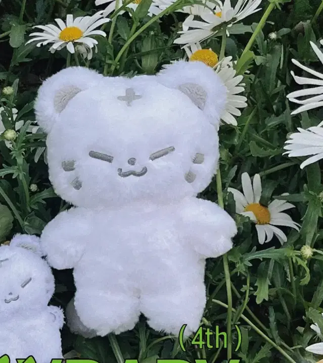 세븐틴 호시 인형 호찌20cm 원가양도 svt doll 고양콘