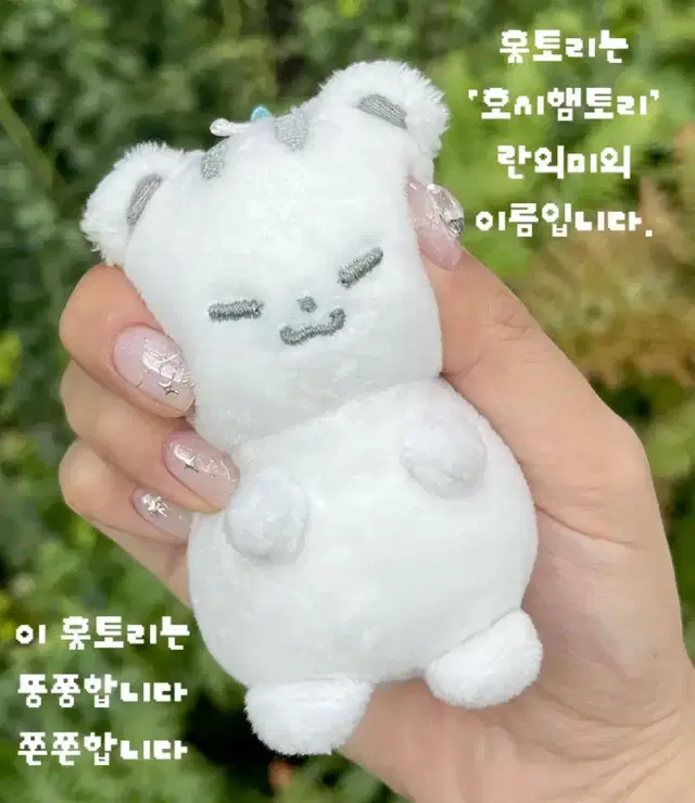 세븐틴 호시 인형 홋토리 원가양도 svt doll 고양콘