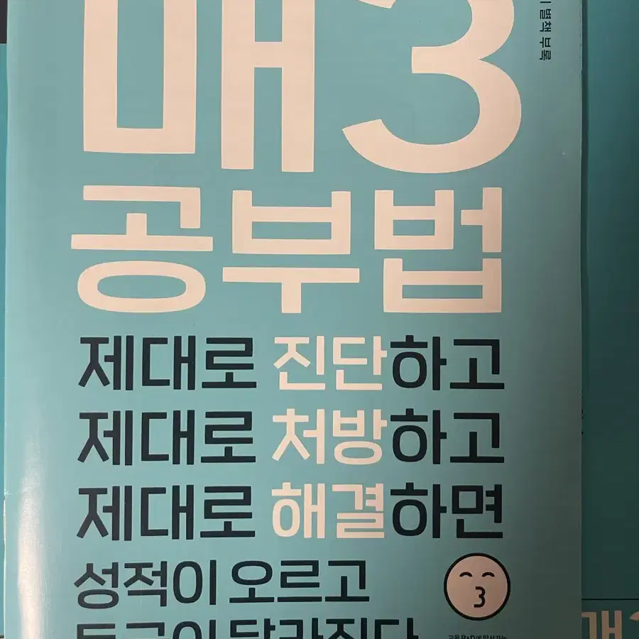 매삼비, 매삼문 (따로 판매도 가능)