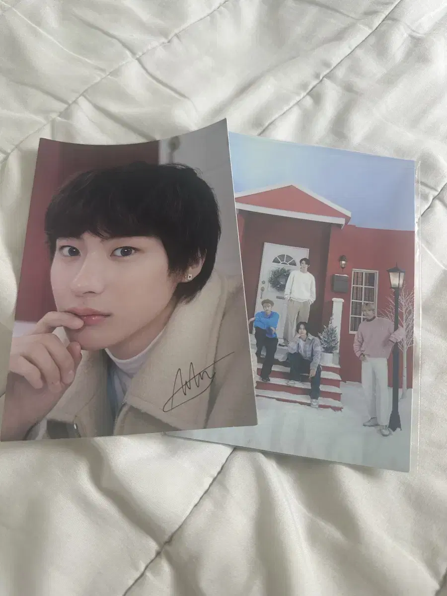 riize chanyoung uik postcard merchandise