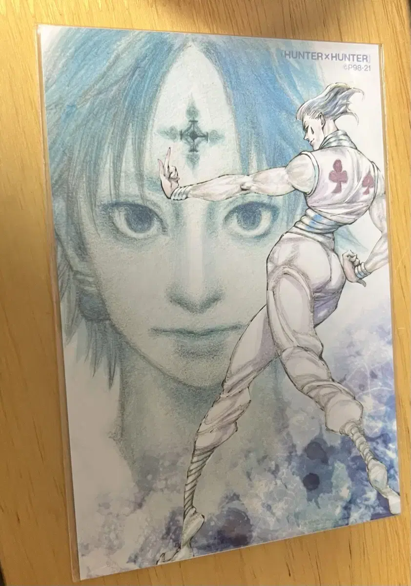 Hunter x Hunter Jump Festa Bromide Chlorohisoka