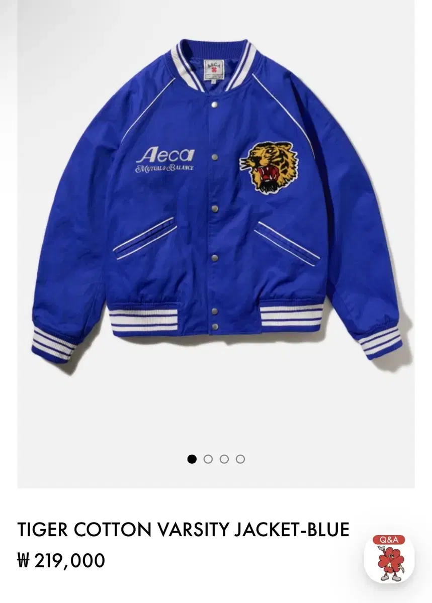 AECA Varsity Jacket