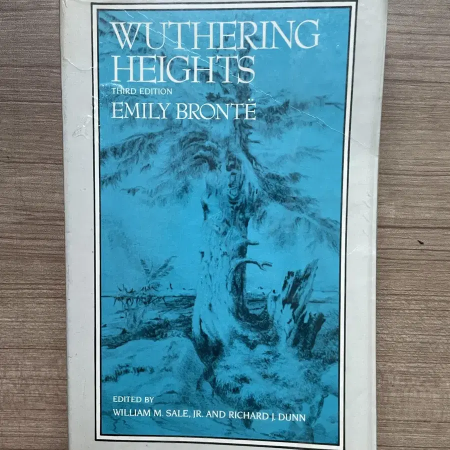 원서] 폭풍의 언덕 wuthering heights