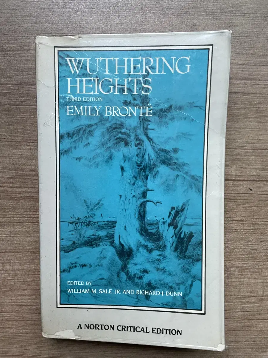 원서] 폭풍의 언덕 wuthering heights