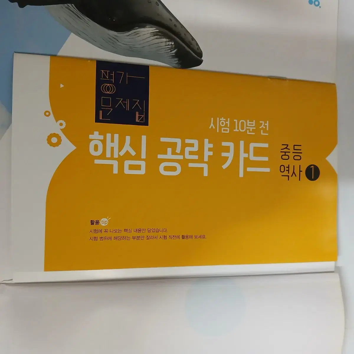 중학교 2학년 비상 역사 평가문제집 중2 중등역사 한국사