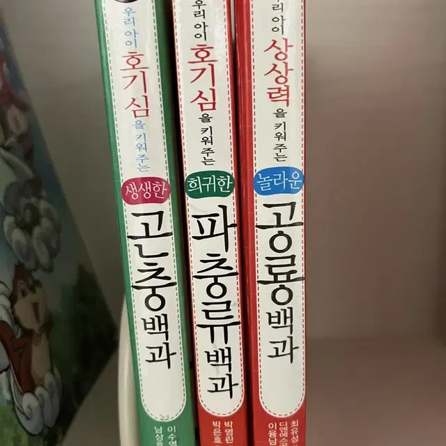 곤충,파충류,공룡백과 판매