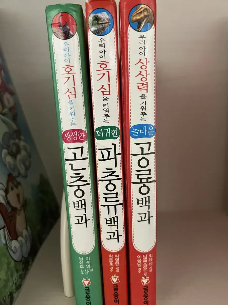 곤충,파충류,공룡백과 판매