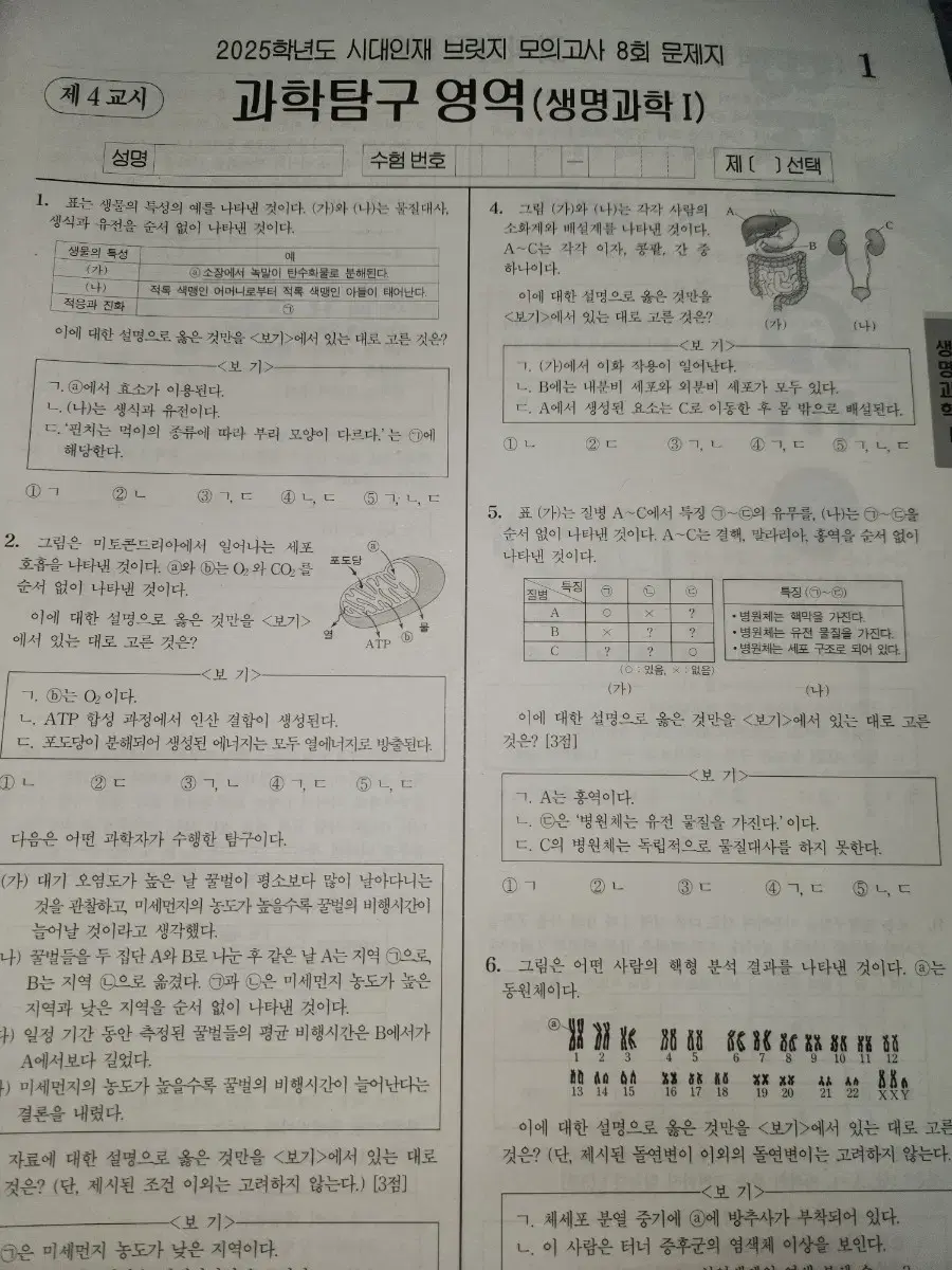 2025 시대인재 생명 브릿지 브릿지 전국 유니온 생명모의고사