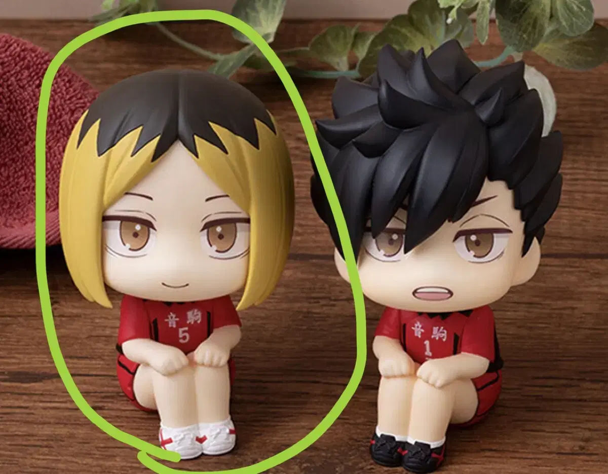 Kenma Lookup (with cushion pre-order benefit)