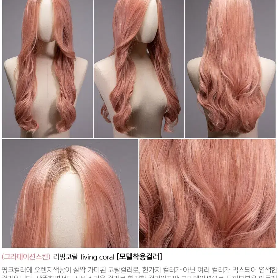 가발나라 레이스 수제가발 새상품