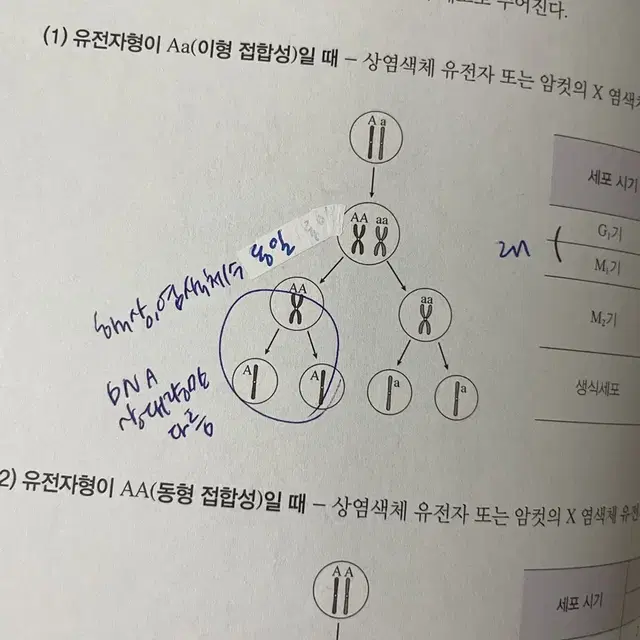 한종철 캐치킬러 캐치로직 생명과학1