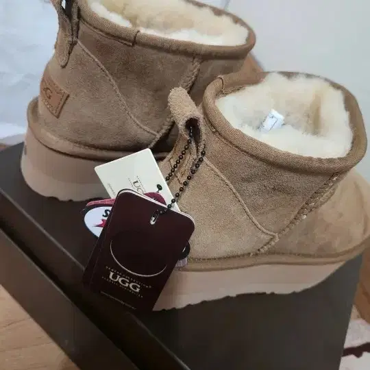 UGG 어그부츠 체스트넛 235 새상품 키높이