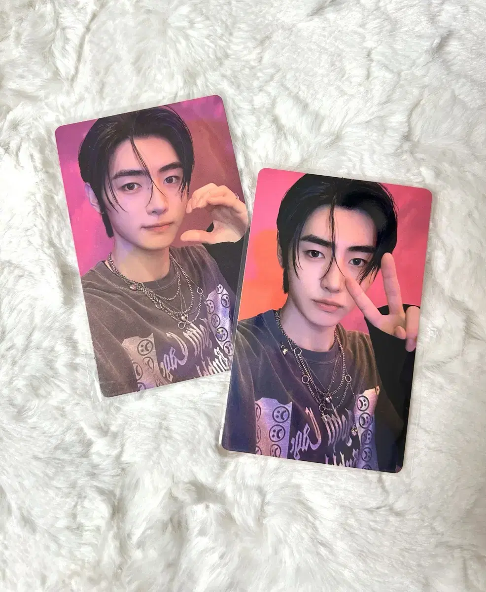 Enhypen Orangeblood Cassana version sunghoon photocard bulk Wts!