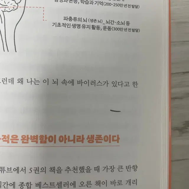 역행자