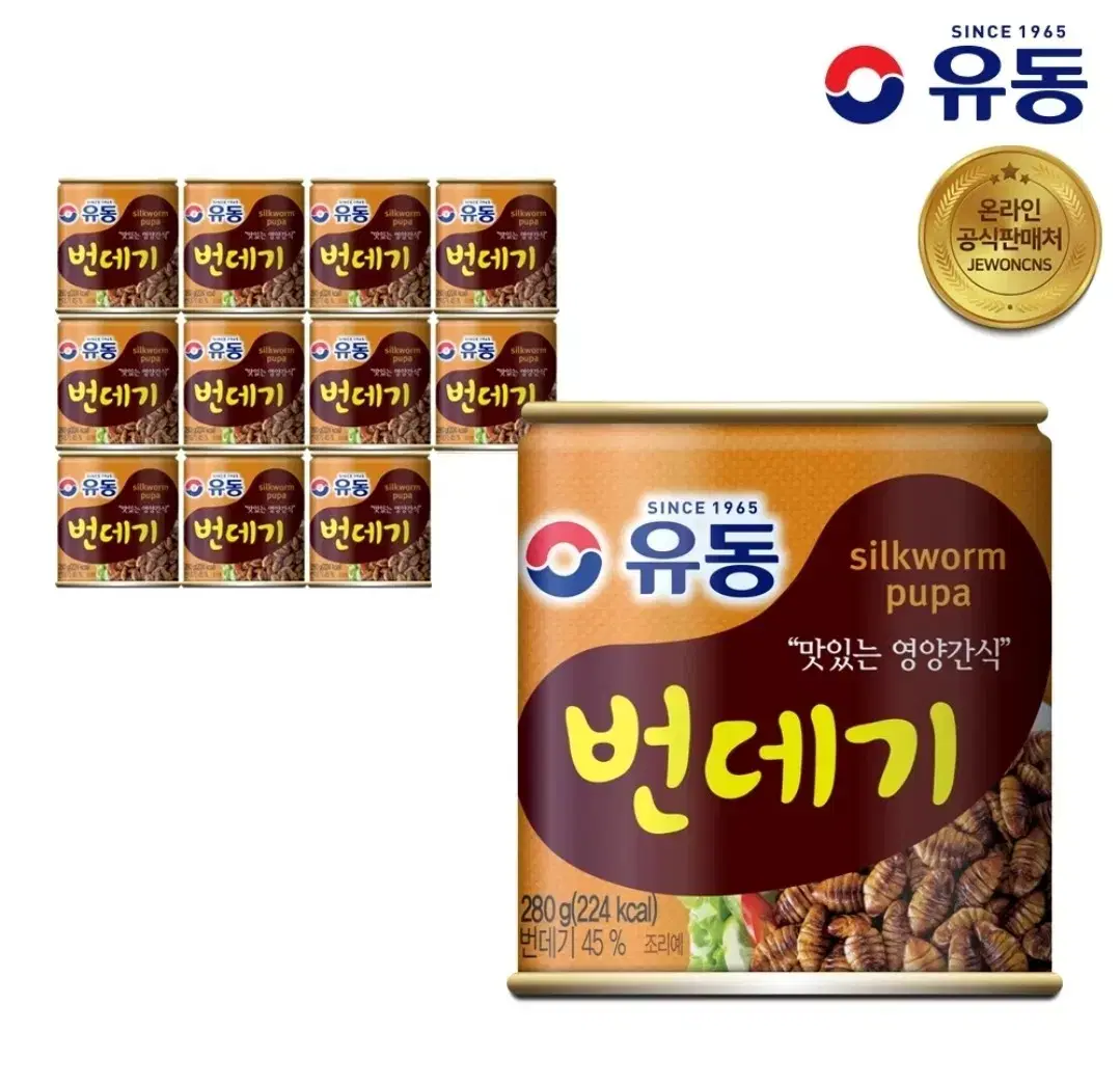 [무료배송] 유동 번데기 280g 12캔