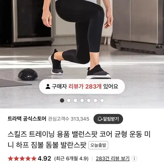 (새것) 홈트 스킬즈 밸런스팟 두개