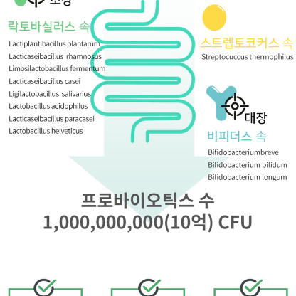 보령 프로바이오틱스 간케어 450mg x 60캡슐