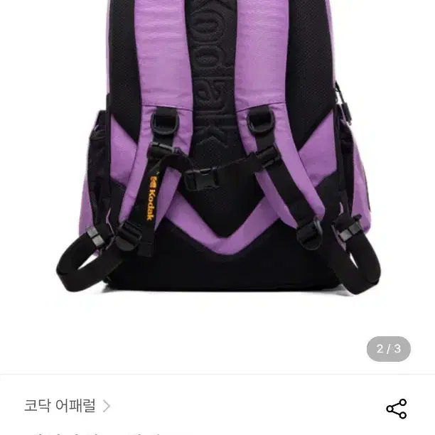 코닥 어패럴 데이라이트 백팩 purple