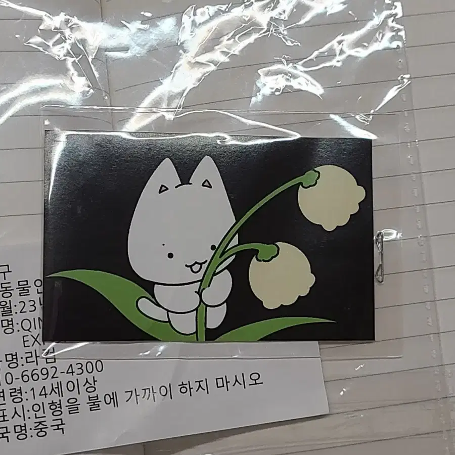 더보이즈 주연 인형 쭈톨이