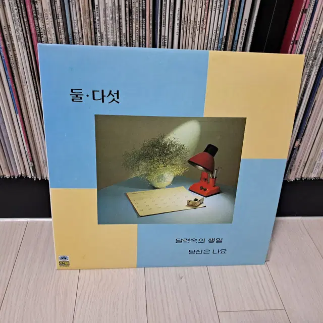 LP..둘다섯(1985년)달력속의생일