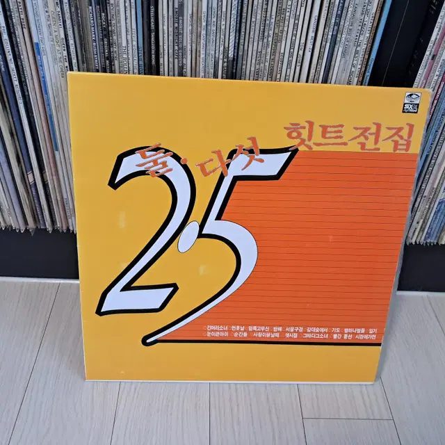 LP..둘다섯(1975년)긴머리소녀