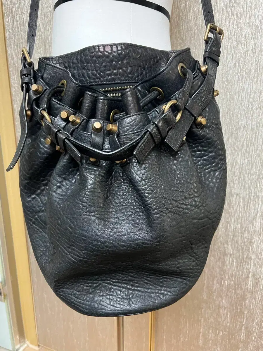 Genuine Alexander Wang Diego Bucket Bag (almost new)