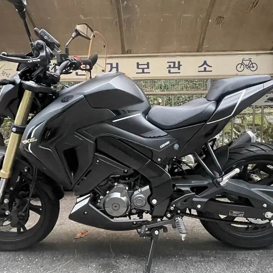 베넬리 rkf 125cc 2023년식 마지막 가격 내림