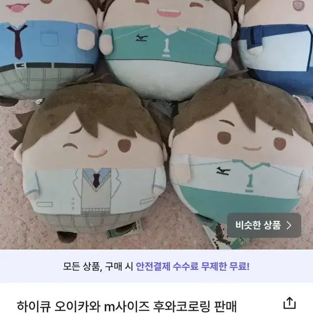 오이카와 후와코로링 m 소분