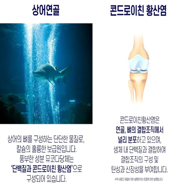 [2개월]코오롱제약 콘드로이친 상어연골 플러스 120정 무료배송