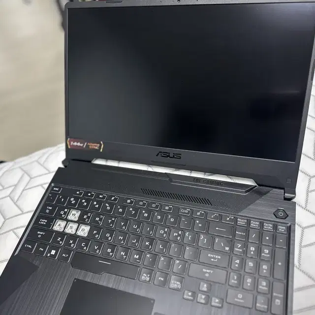 아수스 게이밍 노트북F15 FX506HM-HN058 ssd512