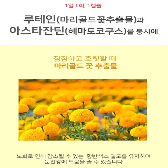 [2개월]웨이팜 루테인 플러스 아스타잔틴 500mg 60캡슐  무료배송