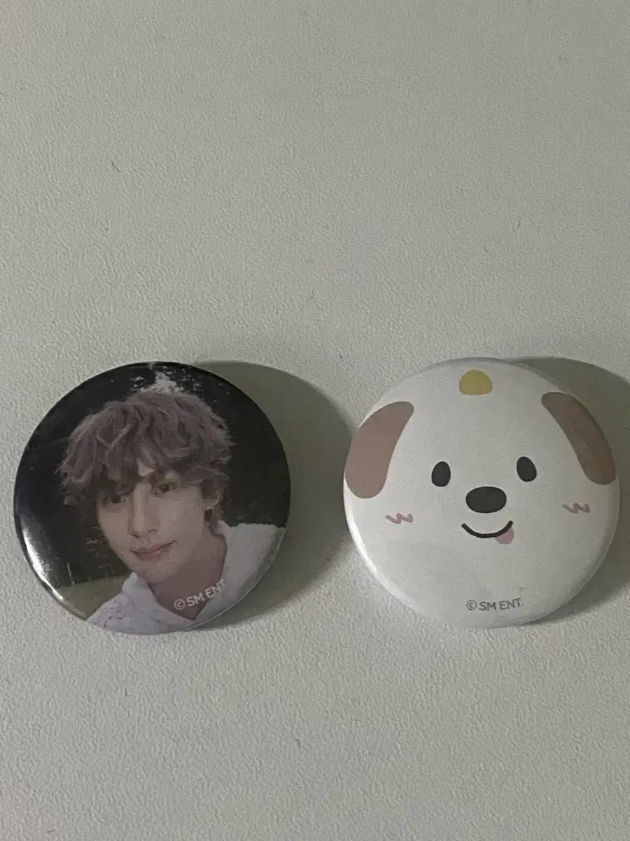 Rize Holy Water Epilogue pop up Pinbutton chanyoung Menglong in bulk