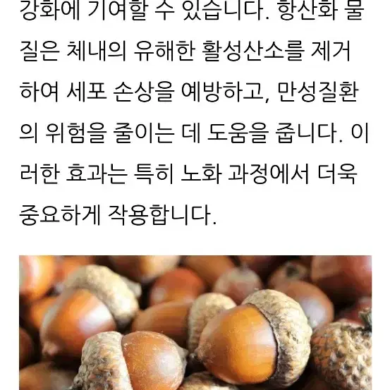 도토리