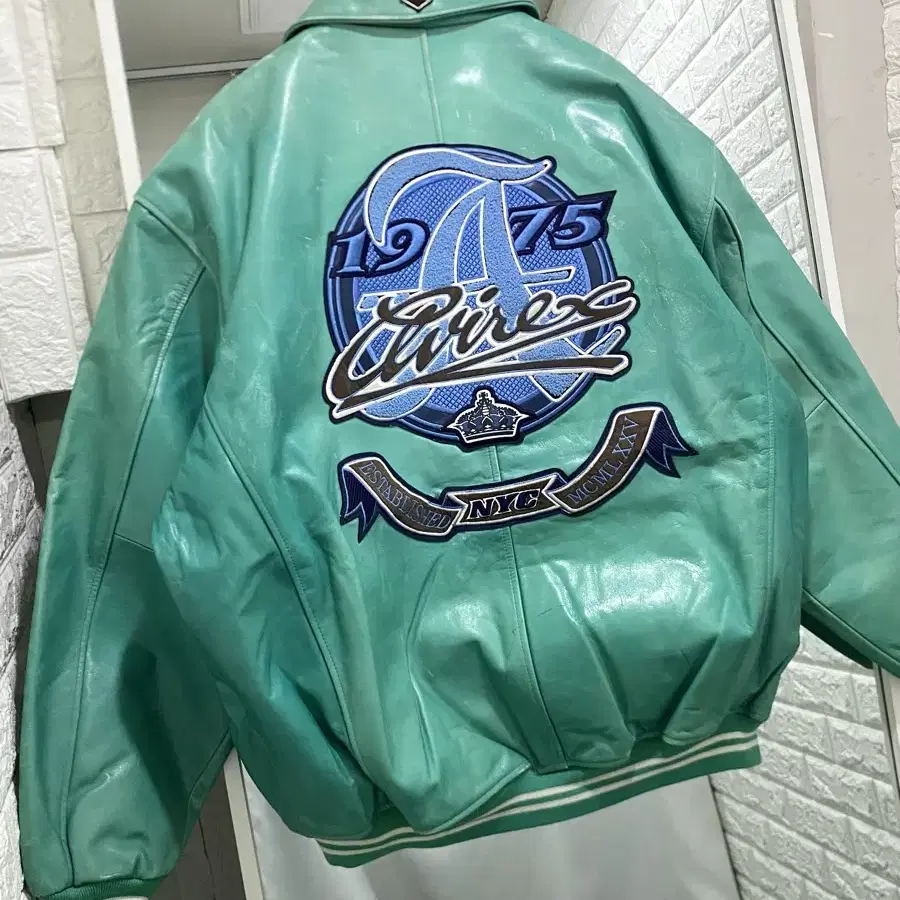 Avirex Leather Varsity Jacket