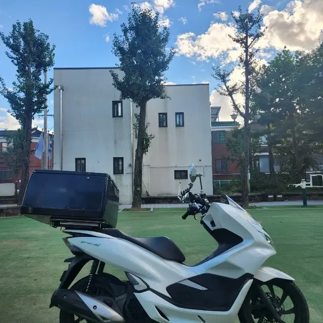 pcx125 / 20년식 / 6.9만Km / 배달셋팅 팝니다