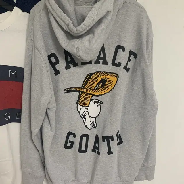 팔라스 고트 goat 후드 그레이 xl