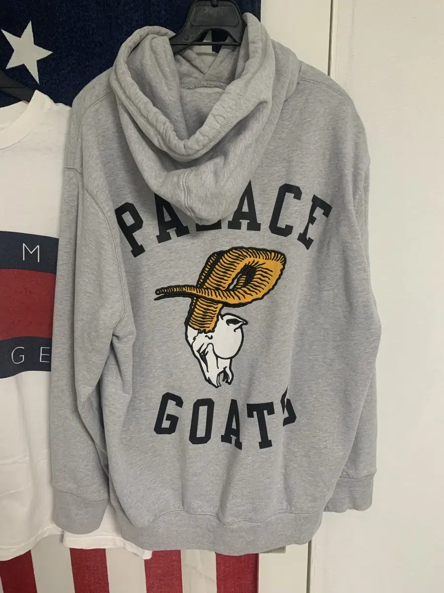 팔라스 고트 goat 후드 그레이 xl