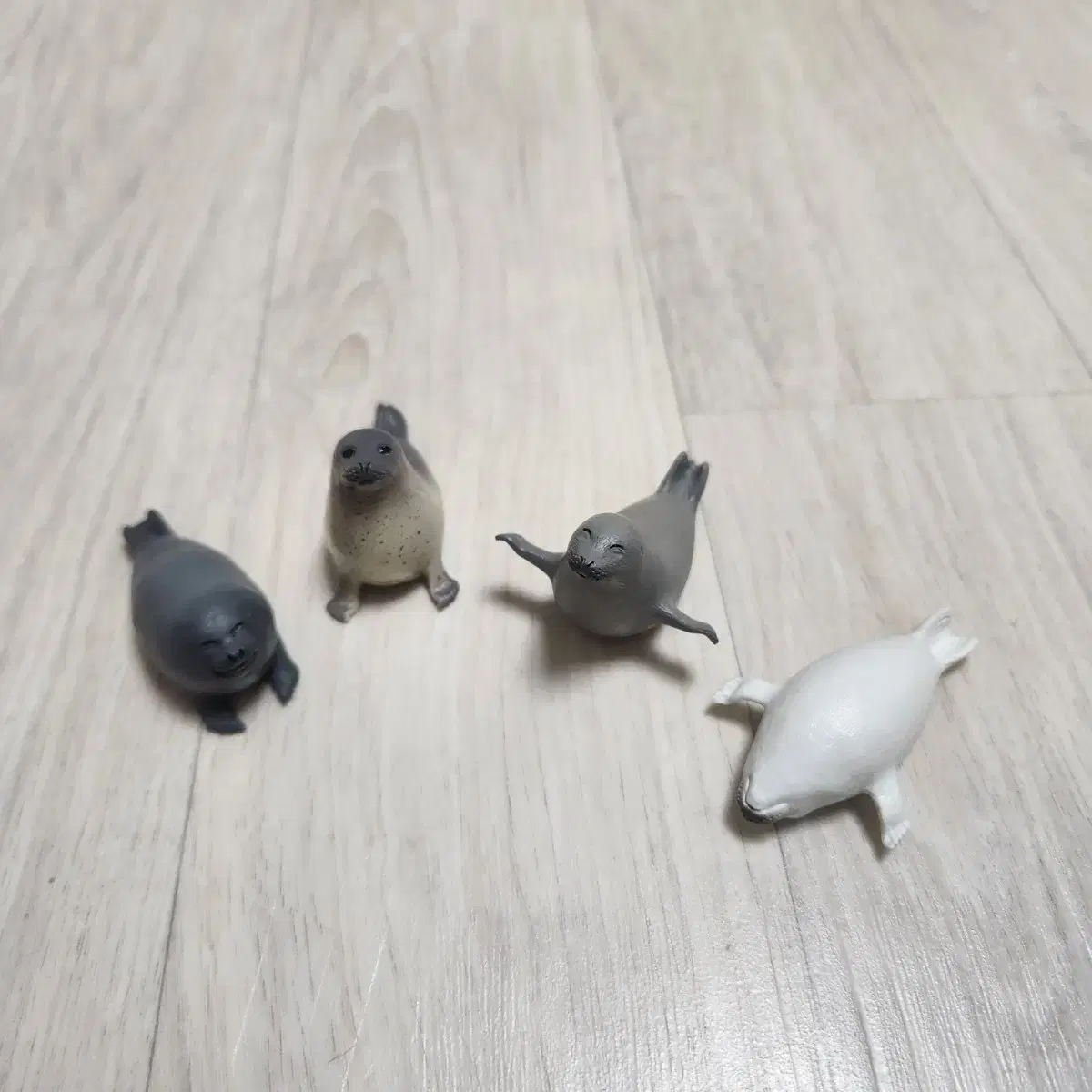 Marine Gacha Seal Figure Vandai Creatures Animal Gacha